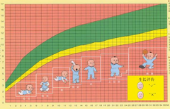 婴幼儿身高体重测量仪正确认识孩子生长曲线