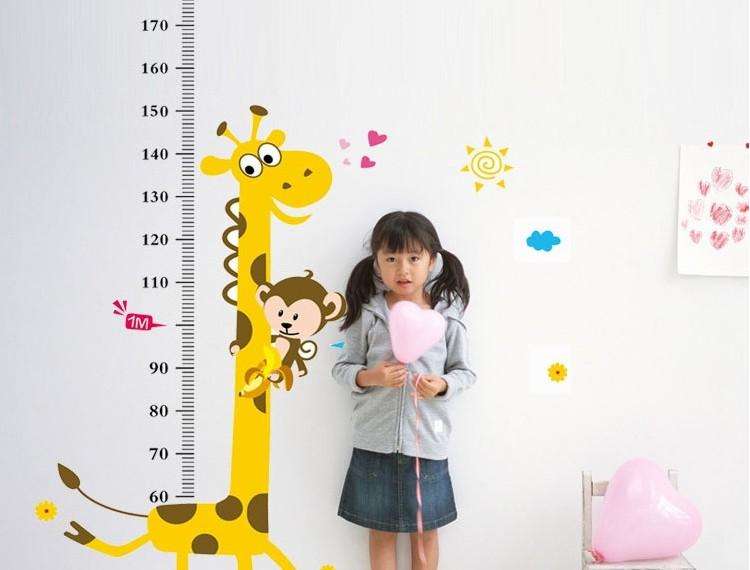 超声波儿童身高体重测量仪的使用方法