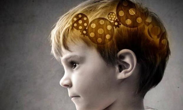 5月热点：儿童智力测试仪厂家介绍宝宝大脑发育不全的原因有哪些-山东国康